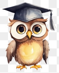 PNG Owl student graduation cartoon animal. 