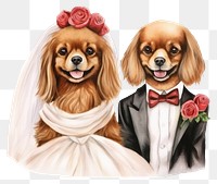 PNG Animal dog portrait wedding. AI generated Image by rawpixel.