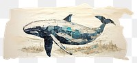 PNG  Whale drawing animal sketch. AI generated Image by rawpixel.
