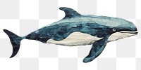 PNG Cute whale dolphin animal mammal. 