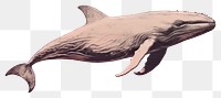 PNG Pink whale painting dolphin animal. 