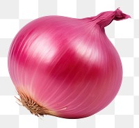 PNG  Onion onion vegetable shallot