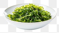 PNG Japanes seaweed salad plate food bowl. 