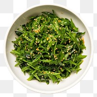 PNG Japanes seaweed salad vegetable arugula plate. 