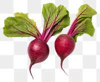 PNG Beet root vegetable radish plant. 