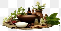 PNG  Herbal massage herbs flower plant. AI generated Image by rawpixel.