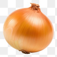 PNG Onion vegetable shallot plant.