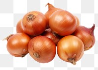 PNG  Onions onion vegetable shallot