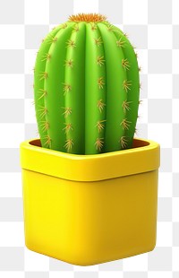 PNG Cactus plant white background houseplant. 