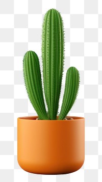 PNG Cactus plant white background houseplant. 