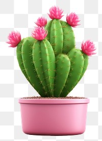 PNG Cactus flower plant pink. 