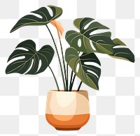 PNG Alocasia longiloba pottery plant vase. AI generated Image by rawpixel.