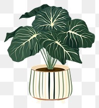 PNG Alocasia longiloba plant leaf vase. 