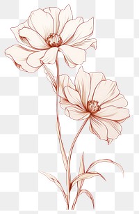 PNG Drawing flower pattern sketch. AI generated Image by rawpixel.