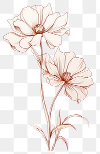 PNG Drawing flower pattern sketch. 