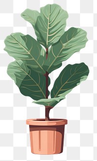 PNG Fiddle leaf fig plant tree houseplant. AI generated Image by rawpixel.