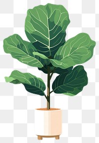 PNG Fiddle leaf fig vegetable plant tree. AI generated Image by rawpixel.
