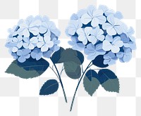 PNG Hydrangea flower plant leaf. AI generated Image by rawpixel.