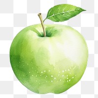 PNG Green apple fruit plant food. AI generated Image by rawpixel.
