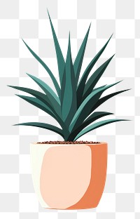 PNG Agave tree plant agave aloe bromeliaceae. AI generated Image by rawpixel.