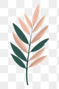PNG Botanical leaf pattern plant vegetation. AI generated Image by rawpixel.