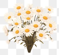 PNG Daisy bouquet daisy flower petal. AI generated Image by rawpixel.