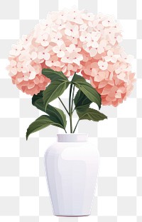 PNG Hydrangea vase flower plant. 