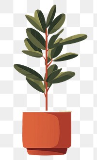 PNG ZZ plant leaf pot houseplant. AI generated Image by rawpixel.