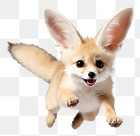 PNG Fennec fox mammal animal cute. AI generated Image by rawpixel.