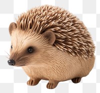 PNG Hedgehog mammal animal erinaceidae. 