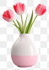 PNG Flower tulip plant vase. 