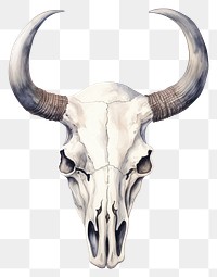 PNG Animal mammal cattle bull. 