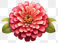 PNG Zinnia flower dahlia petal plant. 