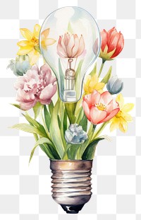 PNG Lightbulb flower plant inflorescence. AI generated Image by rawpixel.