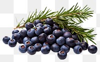 PNG Juniper berries blueberry fruit plant. AI generated Image by rawpixel.