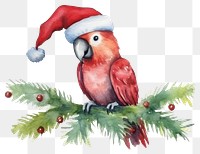 PNG Animal parrot christmas cartoon. 