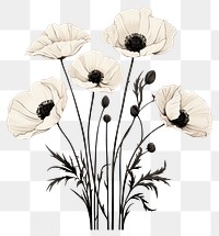 PNG Poppy drawing flower sketch. AI generated Image by rawpixel.