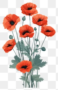 PNG Flower poppy plant inflorescence. AI generated Image by rawpixel.