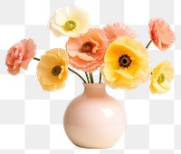 PNG Poppy vase flower yellow. 