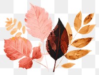 PNG Fall leaves art plant leaf. AI generated Image by rawpixel.