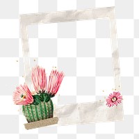 PNG Cactus flower instant film frame, creative remix, transparent background