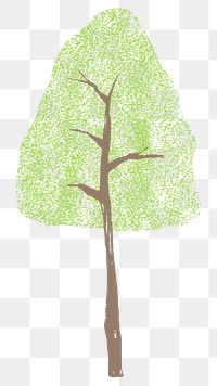 Pine green tree png doodle element, transparent background