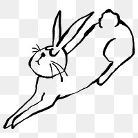 Hare png doodle element, transparent background