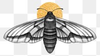 Spirit moth png, spiritual illustration, transparent background