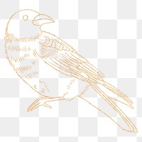 Golden bird png, spiritual illustration, transparent background