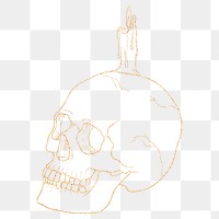 Golden skull png, spiritual illustration, transparent background