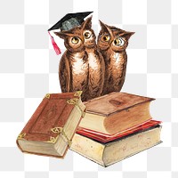 PNG Study owl, education graduation illustration transparent background