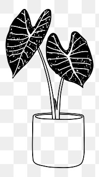 House plant in pot png doodle element, transparent background