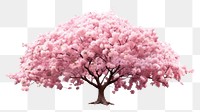 PNG Cherry blossom flower plant tree. 