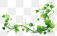 PNG Green Vines green pattern plant. AI generated Image by rawpixel.
